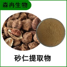 森冉生物 砂仁提取物 縮砂仁提取物 植物提取原料粉