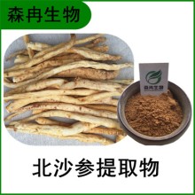 森冉生物 北沙參提取物 遼沙參提取物 全水溶原料粉