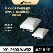 優(yōu)科Ruckus P300 點對點/點對多點網(wǎng)橋優(yōu)科P300無線網(wǎng)