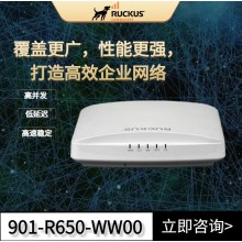 RUCKUS R650：性能穩(wěn)定，重塑無線未來——您的Wi-Fi 6旗艦之選！