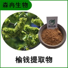 森冉生物 榆錢提取物 榆實(shí)提取物 植物提取原料粉